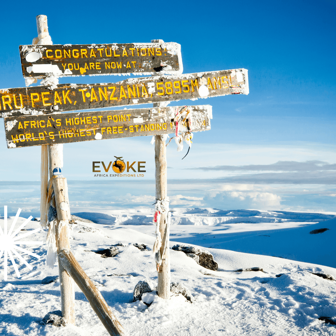 Destination showcase 3