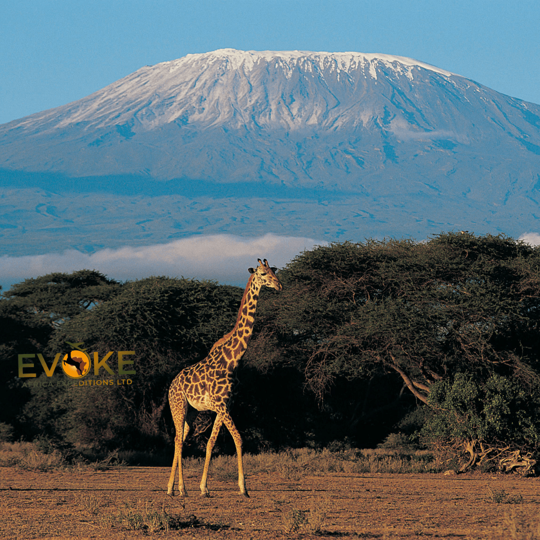 Destination showcase 5