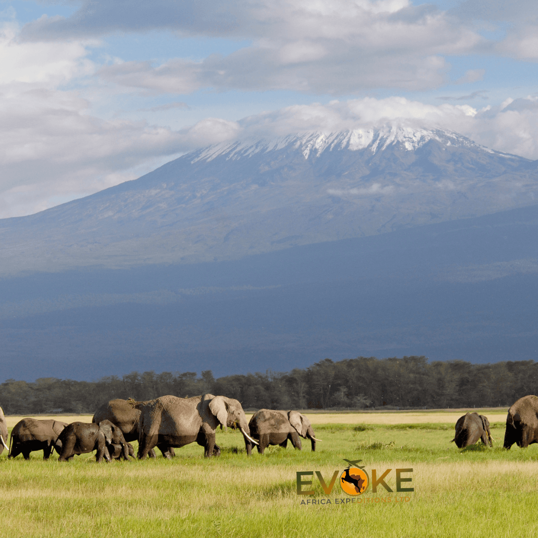 Destination showcase 6